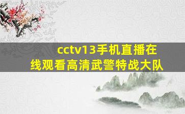 cctv13手机直播在线观看高清武警特战大队