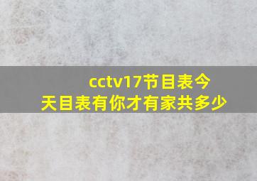 cctv17节目表今天目表有你才有家共多少