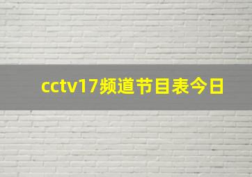 cctv17频道节目表今日