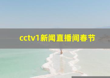 cctv1新闻直播间春节