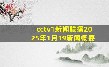 cctv1新闻联播2025年1月19新闻概要