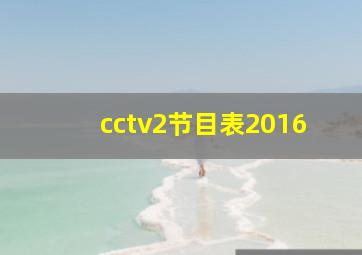 cctv2节目表2016