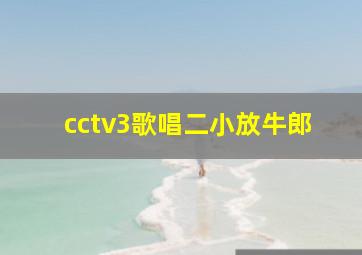 cctv3歌唱二小放牛郎