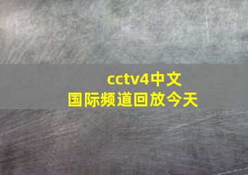 cctv4中文国际频道回放今天