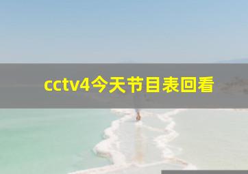 cctv4今天节目表回看