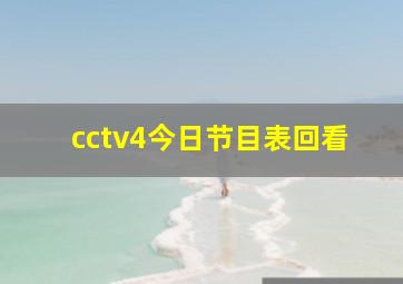 cctv4今日节目表回看