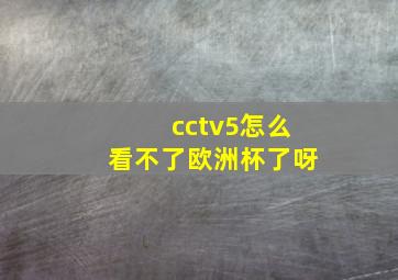 cctv5怎么看不了欧洲杯了呀