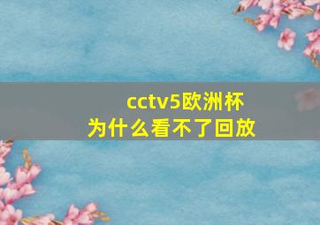 cctv5欧洲杯为什么看不了回放