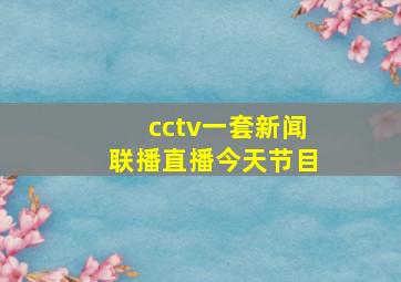 cctv一套新闻联播直播今天节目