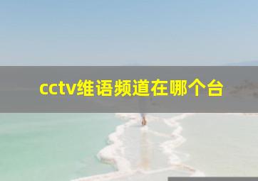 cctv维语频道在哪个台