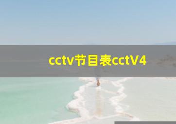 cctv节目表cctV4