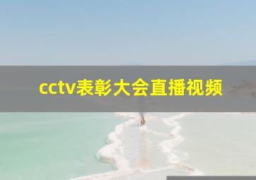 cctv表彰大会直播视频