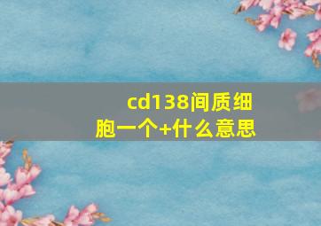 cd138间质细胞一个+什么意思