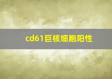 cd61巨核细胞阳性