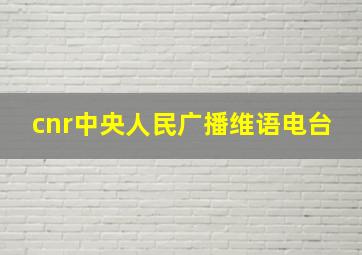 cnr中央人民广播维语电台