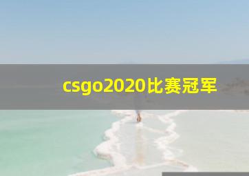 csgo2020比赛冠军