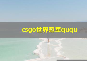 csgo世界冠军ququ