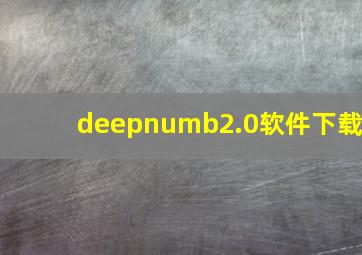 deepnumb2.0软件下载