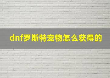 dnf罗斯特宠物怎么获得的