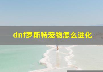 dnf罗斯特宠物怎么进化