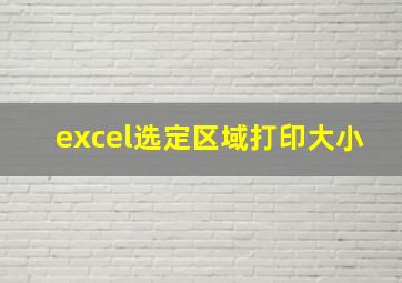 excel选定区域打印大小