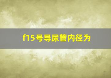 f15号导尿管内径为