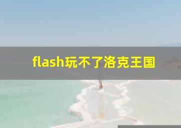 flash玩不了洛克王国