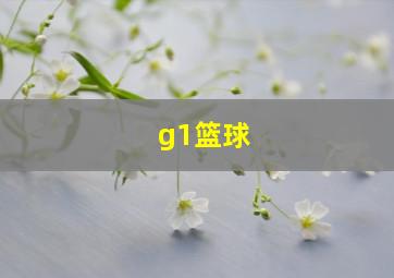 g1篮球