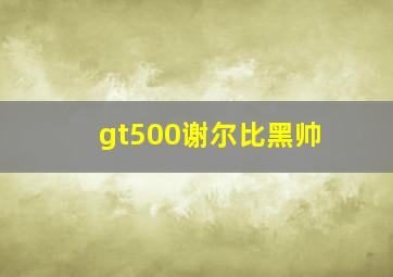 gt500谢尔比黑帅