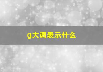 g大调表示什么