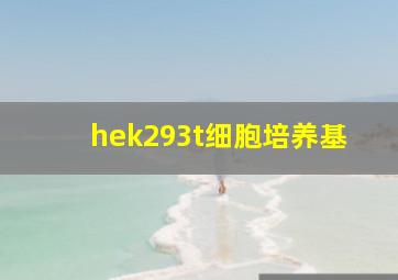 hek293t细胞培养基