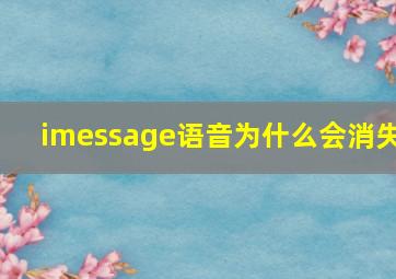 imessage语音为什么会消失