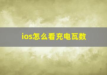 ios怎么看充电瓦数