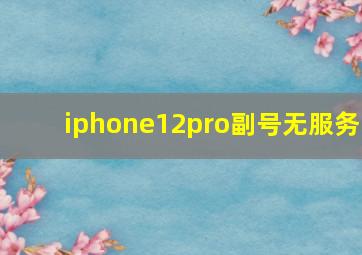 iphone12pro副号无服务