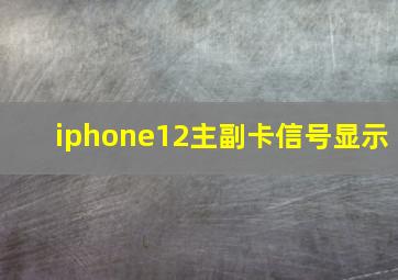 iphone12主副卡信号显示