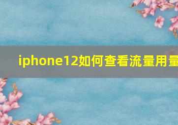 iphone12如何查看流量用量