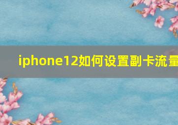 iphone12如何设置副卡流量