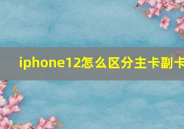 iphone12怎么区分主卡副卡