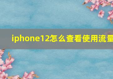 iphone12怎么查看使用流量