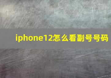 iphone12怎么看副号号码