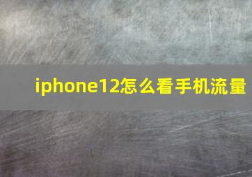 iphone12怎么看手机流量