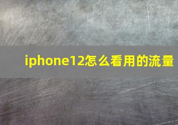 iphone12怎么看用的流量