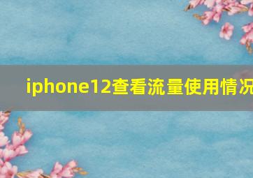 iphone12查看流量使用情况