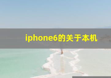 iphone6的关于本机