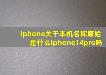 iphone关于本机名称原始是什么iphone14pro吗