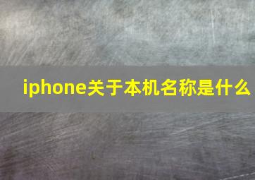 iphone关于本机名称是什么