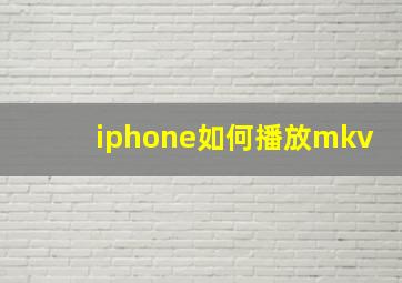 iphone如何播放mkv