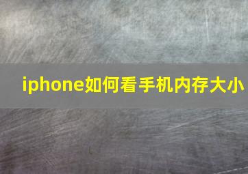 iphone如何看手机内存大小