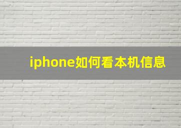 iphone如何看本机信息