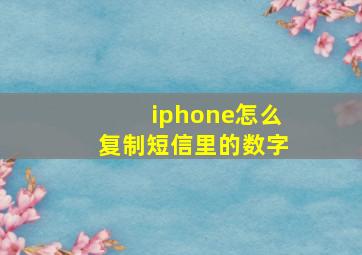 iphone怎么复制短信里的数字